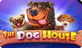 Betalice offre il gioco online The Dog House
